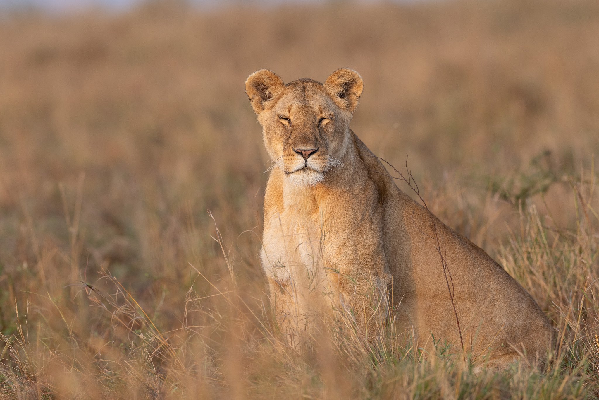 The Best Places to Travel and Photograph in July | Chasing Hippoz